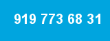 919 773 68 31 919 773 68 31